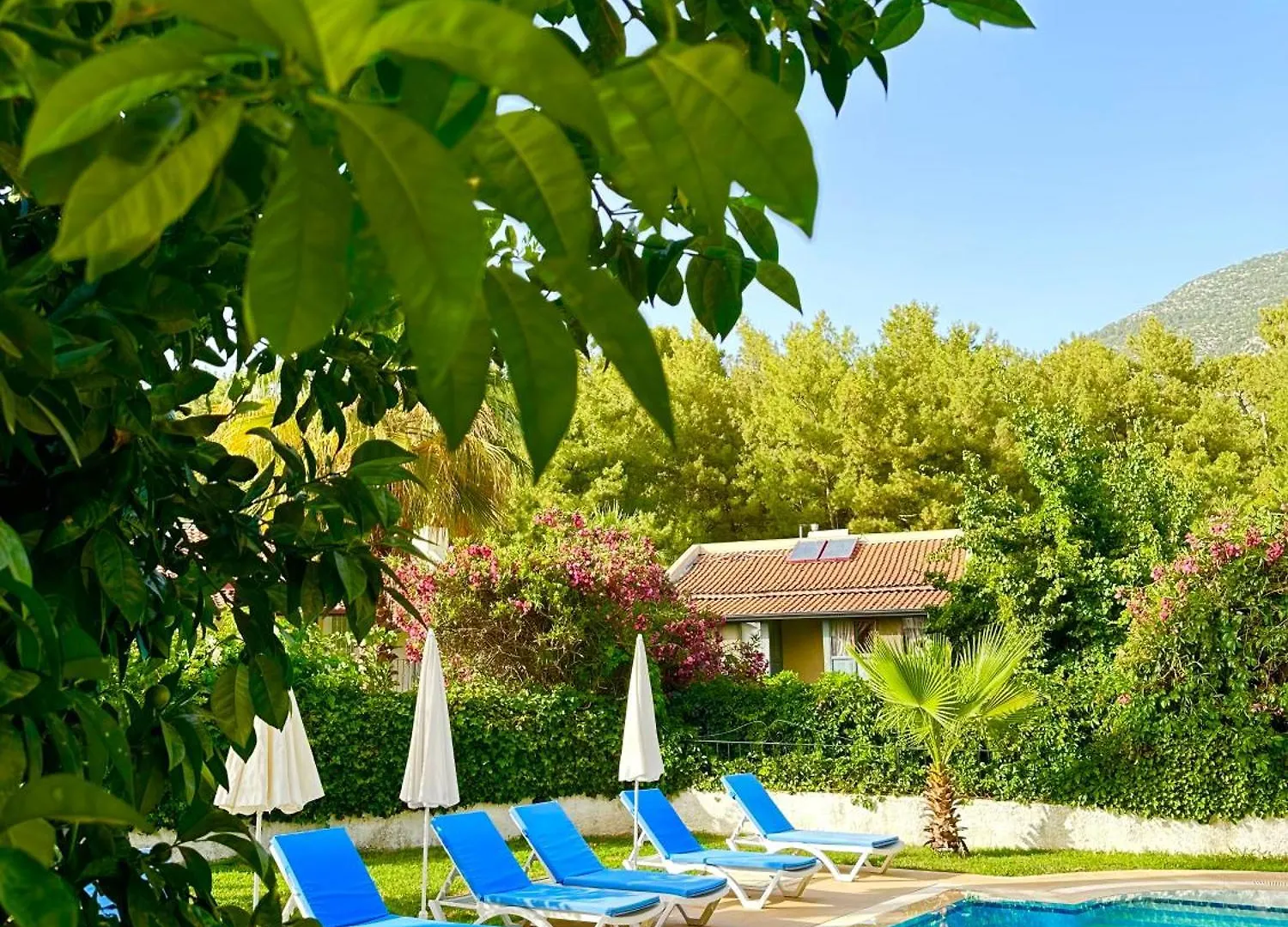 Villa With A Private Pool And Mountain View In A Quiet Area Next To Fores Fethiye