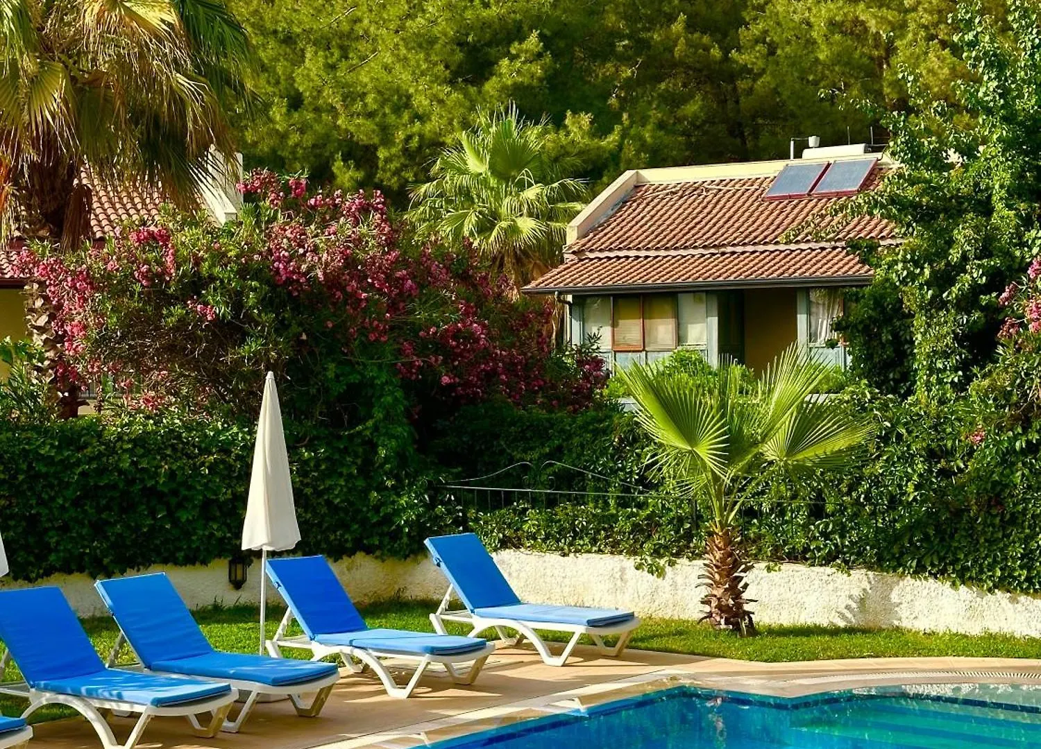 Villa With A Private Pool And Mountain View In A Quiet Area Next To Fores Fethiye