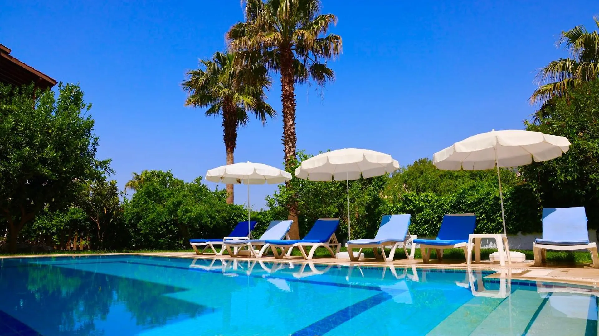 Villa With A Private Pool And Mountain View In A Quiet Area Next To Fores contacts